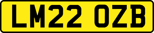 LM22OZB