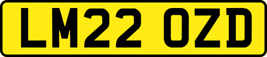 LM22OZD