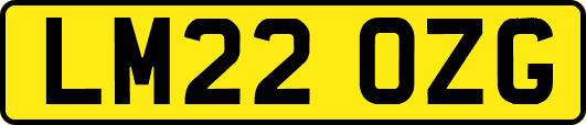 LM22OZG
