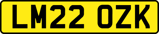 LM22OZK