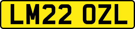 LM22OZL