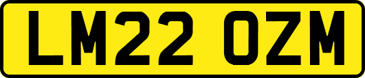 LM22OZM