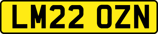 LM22OZN