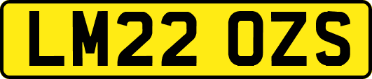 LM22OZS