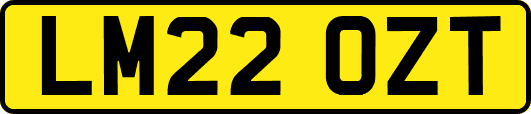 LM22OZT