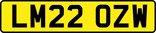LM22OZW