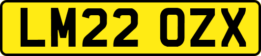 LM22OZX