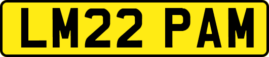 LM22PAM