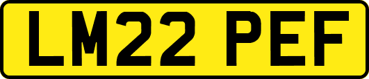 LM22PEF