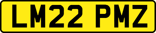 LM22PMZ