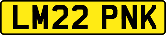 LM22PNK