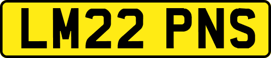 LM22PNS