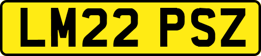 LM22PSZ