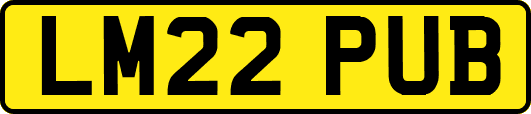 LM22PUB