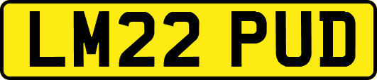 LM22PUD