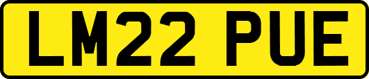 LM22PUE