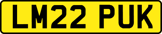 LM22PUK
