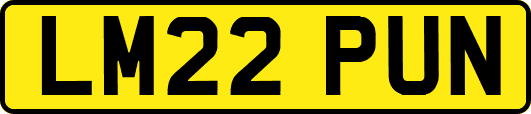 LM22PUN