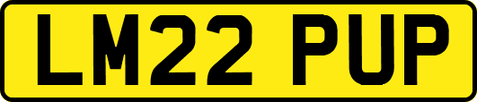 LM22PUP