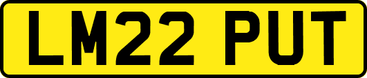 LM22PUT