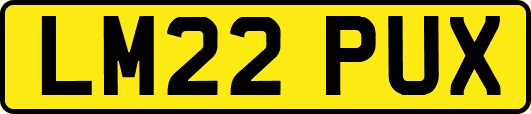 LM22PUX