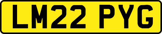 LM22PYG