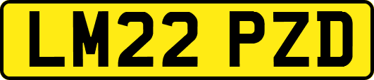 LM22PZD