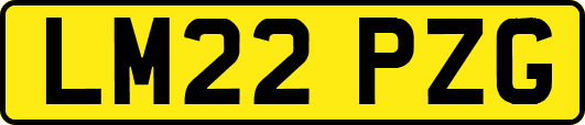 LM22PZG