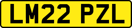 LM22PZL