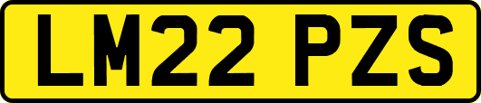 LM22PZS