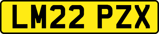 LM22PZX