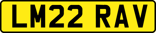 LM22RAV