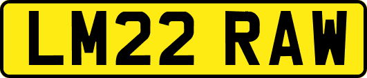 LM22RAW