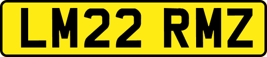 LM22RMZ