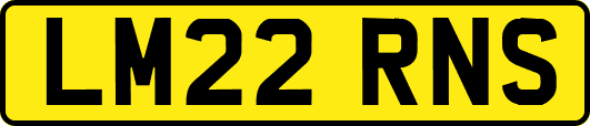 LM22RNS