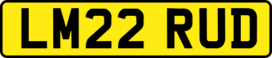 LM22RUD