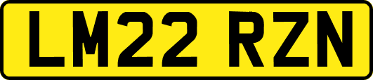 LM22RZN