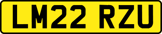 LM22RZU