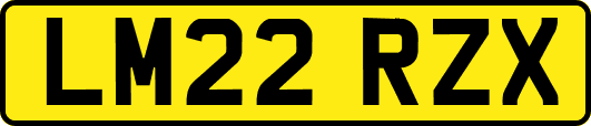LM22RZX