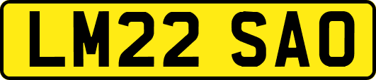 LM22SAO