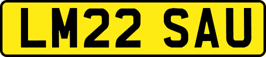 LM22SAU
