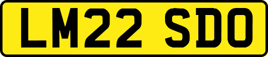 LM22SDO