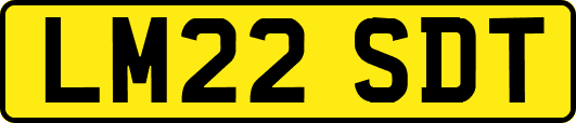LM22SDT