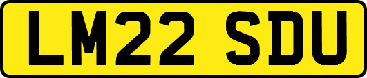 LM22SDU