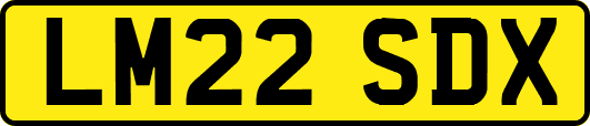 LM22SDX