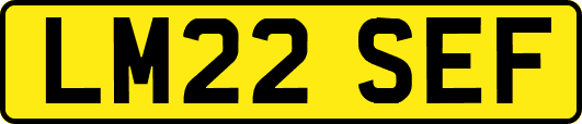 LM22SEF