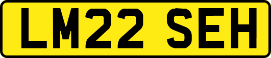 LM22SEH