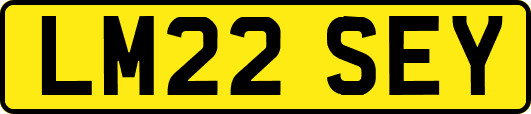 LM22SEY