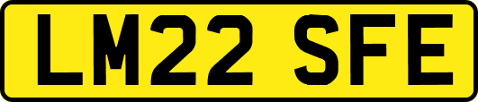 LM22SFE