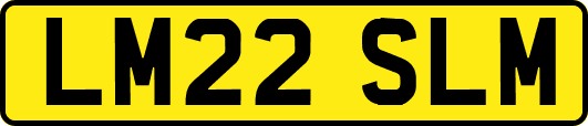 LM22SLM